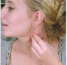 Screen Shot 2018-12-22 at 7.33.55 PM.png