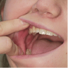 Screen Shot 2018-12-22 at 7.34.13 PM.png