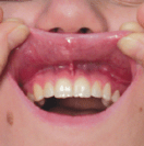 Screen Shot 2018-12-22 at 7.34.18 PM.png