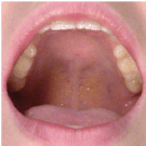 Screen Shot 2018-12-22 at 7.34.51 PM.png