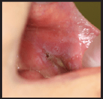 Screen Shot 2018-12-22 at 8.53.10 PM.png