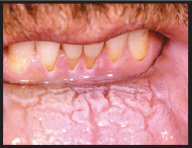 Screen Shot 2018-12-22 at 8.53.19 PM.png